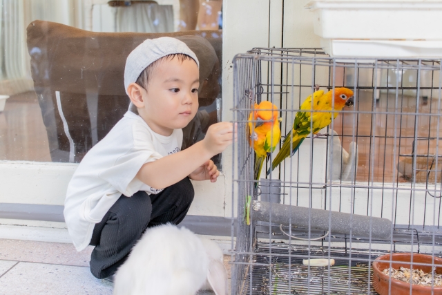 やってはいけないことをやってしまう子供の特徴は？親の接し方を解説_親の接し方